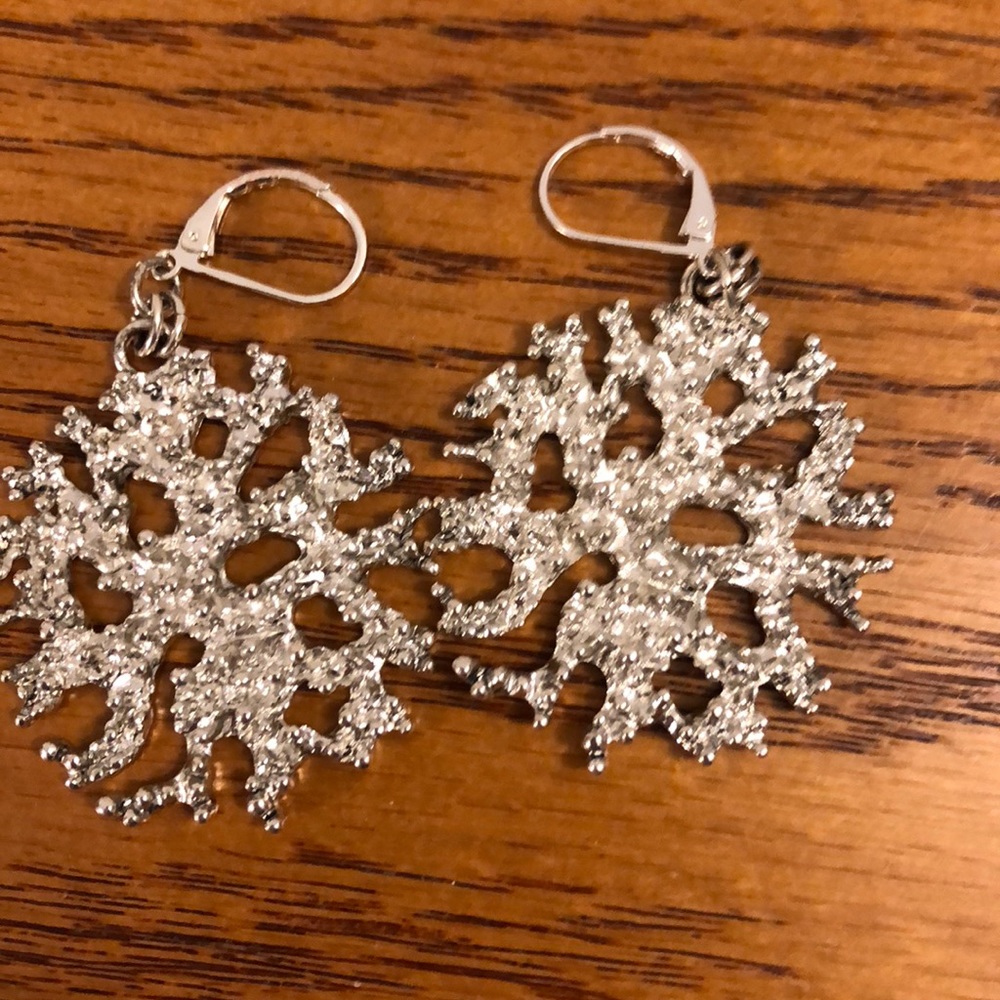Silver coral design earrings with lever-back.